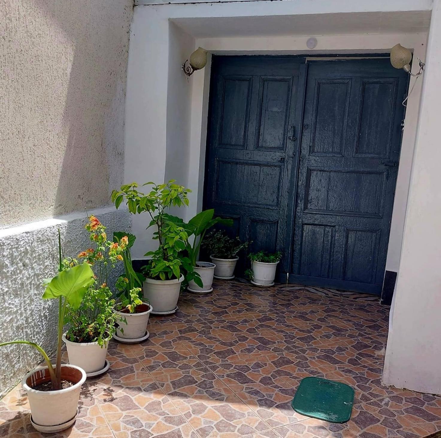 Guest House Flowers Berat Exterior photo